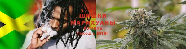 ПСИЛОЦИБИНОВЫЕ ГРИБЫ Баксан