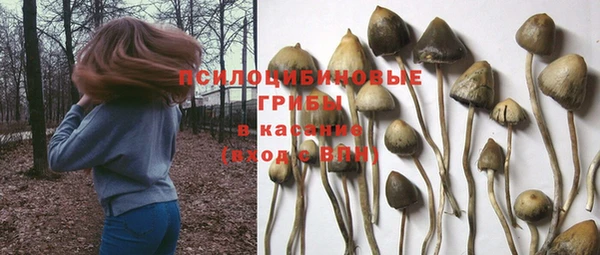марки nbome Белокуриха