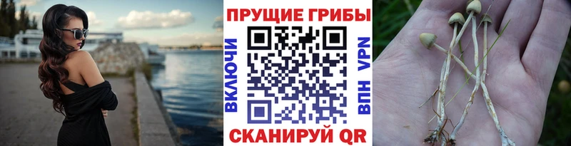 Галлюциногенные грибы мухоморы  Шенкурск 